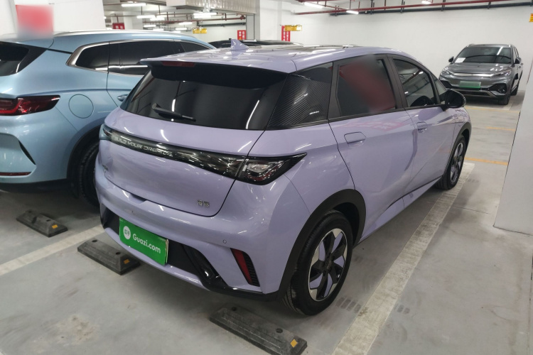 比亚迪 海豚 2024款 荣耀版 420km 时尚版车身外观6005