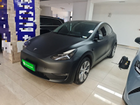 特斯拉 Model Y 2021款 标准续航后驱版