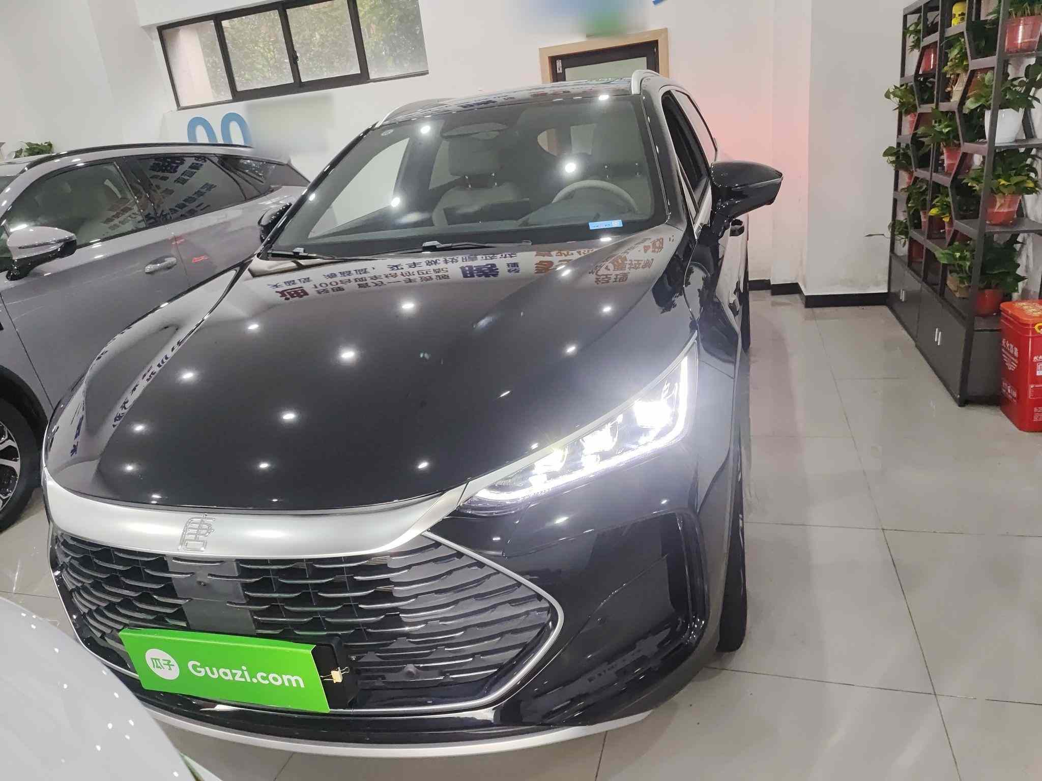 比亚迪 唐新能源 2025款 智驾版 DM-i 115KM 旗舰型(1)