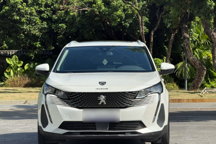 标致4008 2021款 360THP 科技版车身外观6005