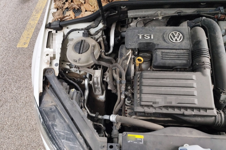 大众 高尔夫 2018款  230TSI 自动豪华型局部细节9006