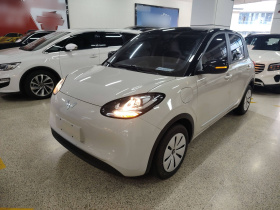 五菱汽车 五菱缤果 2025款 203km 轻享款