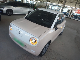 欧拉黑猫 2022款 301km 基础型 三元锂