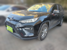 丰田 威兰达 2024款 2.0L CVT两驱领先版