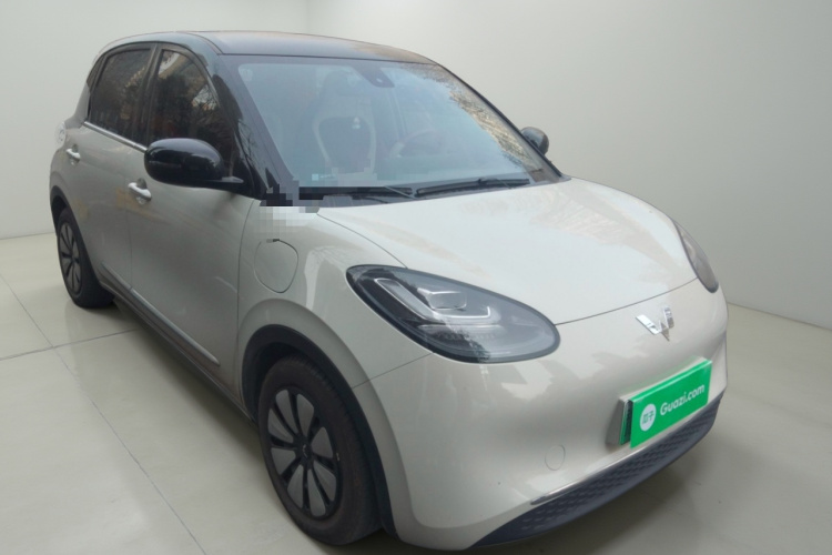 五菱汽车 五菱缤果 2023款 333km 灵犀互联款车身外观3