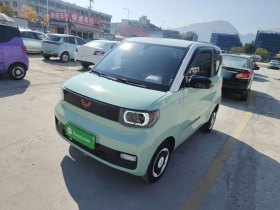 五菱汽车 宏光MINIEV 2021款 马卡龙时尚款 三元锂