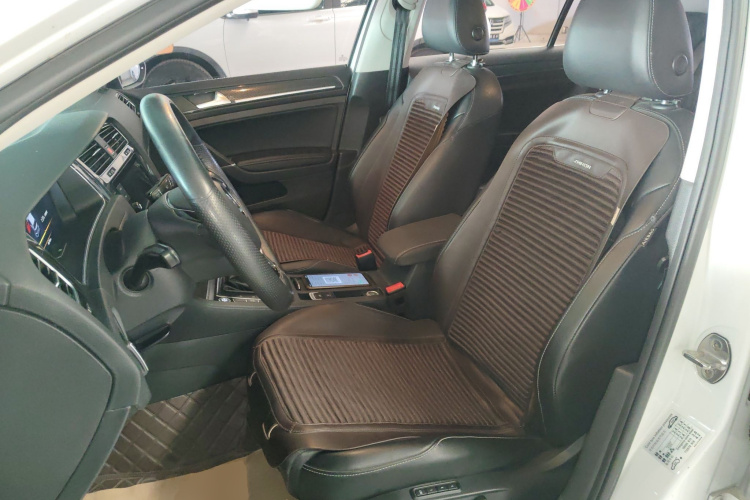 大众 高尔夫 2019款 280TSI DSG豪华型 国VI中控内饰19