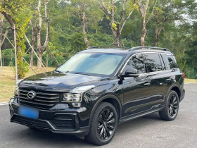 广汽传祺 传祺GS8 2021款 390T 两驱暗夜骑士版