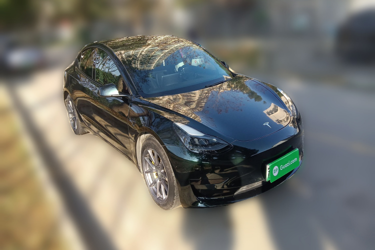 特斯拉 Model 3 2021款 标准续航后驱升级版车身外观6002