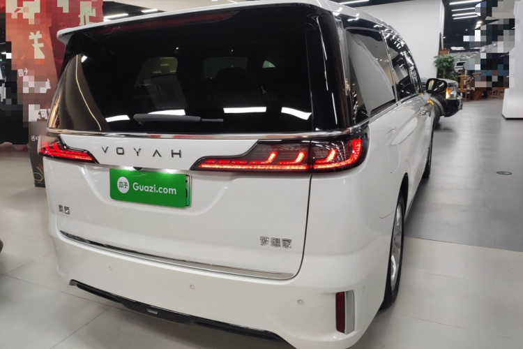 岚图汽车 岚图梦想家 2022款 低碳版 想+智驾包车身外观6005