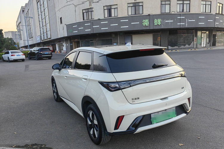 比亚迪 海豚 2024款 荣耀版 420km 时尚版车身外观6006