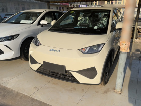 比亚迪 海鸥 2025款 智驾版 305km 活力版