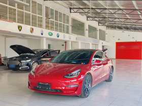 特斯拉 Model 3(进口) 2019款 长续航全轮驱动版