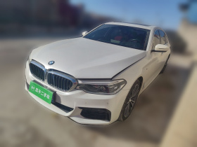 宝马5系 2020款 530Li 尊享型 M运动套装