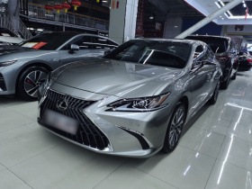 雷克萨斯ES 2023款 260 卓越版
