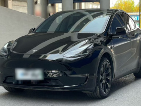 特斯拉 Model Y 2021款 标准续航后驱版