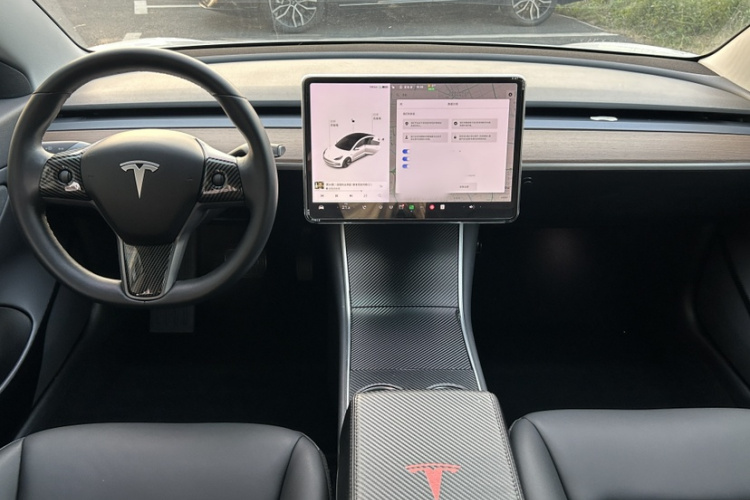 特斯拉 Model 3(进口) 2019款 长续航后驱版局部细节14