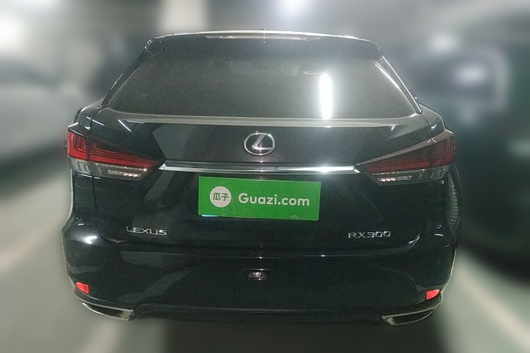 雷克萨斯RX 2021款 300 四驱特别版车身外观6