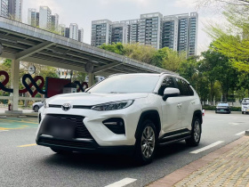 丰田 威兰达 2020款 2.0L CVT两驱豪华版