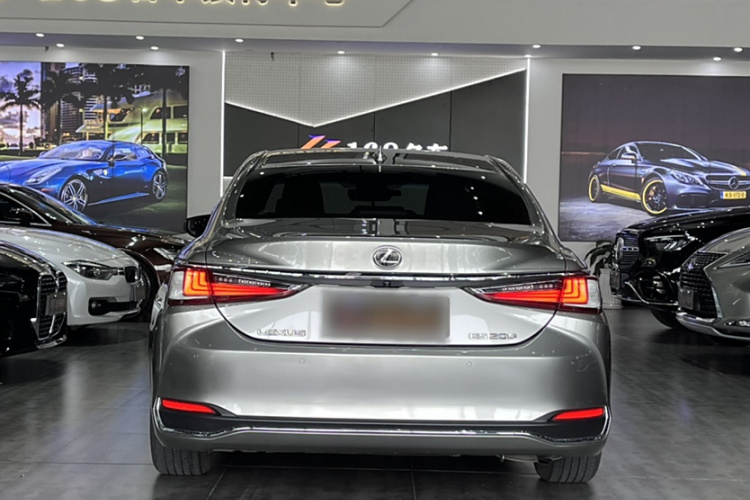 雷克萨斯ES 2020款 200 卓越版车身外观6004