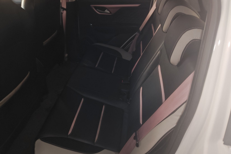 思皓 2022款 花仙子款 满天星中控内饰21