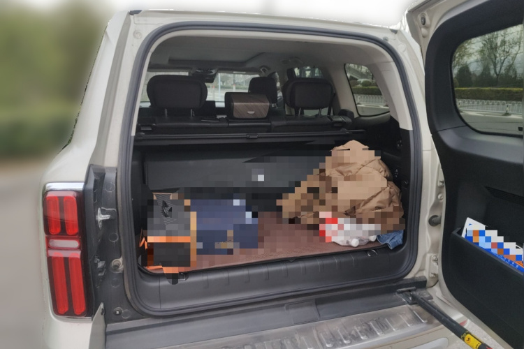 坦克500 2022款 3.0T 商务版 造境型 5座中控内饰23