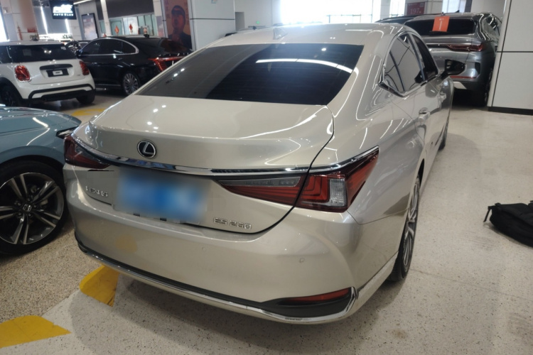 雷克萨斯ES 2020款 200 卓越版车身外观7