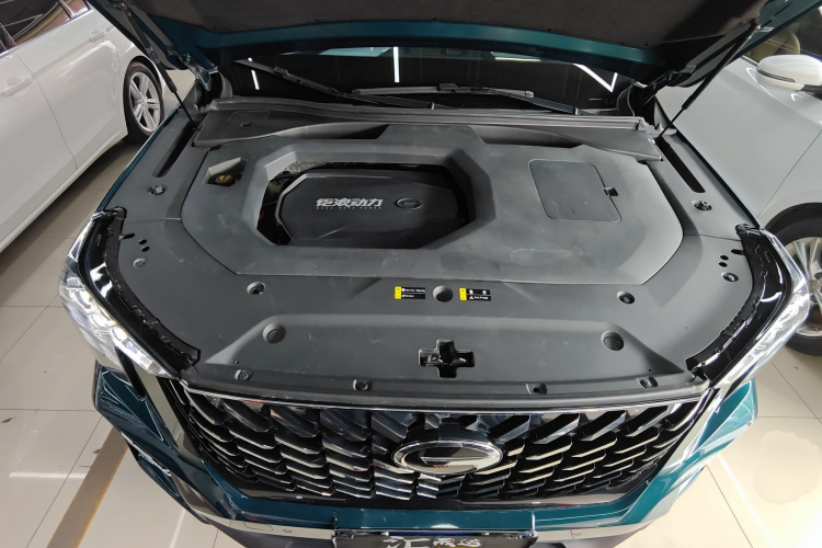 广汽传祺 传祺GS8 2022款 领航系列 2.0TGDI 两驱尊贵版（七座）局部细节24