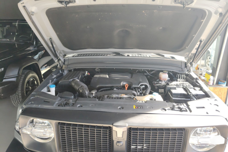 坦克300 2021款 越野版 2.0T 征服者局部细节24