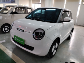 长安启源 长安Lumin 2023款 301km 蜜沁款