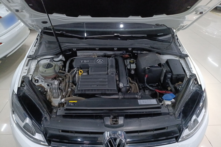 大众 高尔夫 2017款 230TSI 自动豪华百万辆纪念版局部细节24