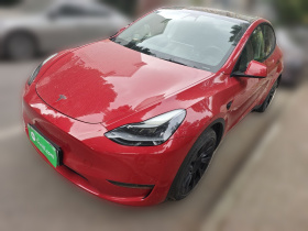 特斯拉 Model Y 2021款 长续航全轮驱动版