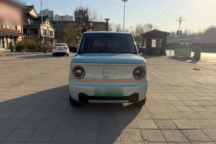 吉利银河 2024款 熊猫mini 200km 耐力熊车身外观6003