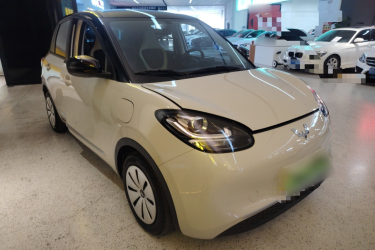 五菱汽车 五菱缤果 2023款 203km 轻享款车身外观6002