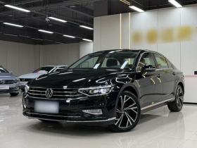 大众 迈腾 2020款 330TSI DSG 豪华型