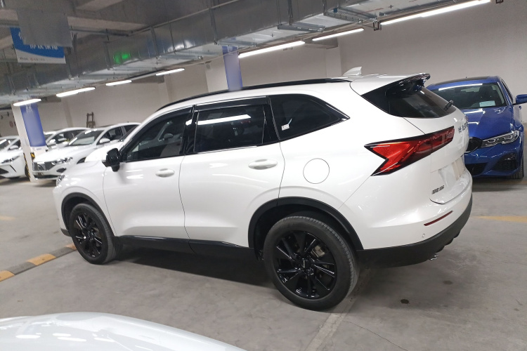 哈弗H6 2024款 2.0T 四驱Max车身外观4