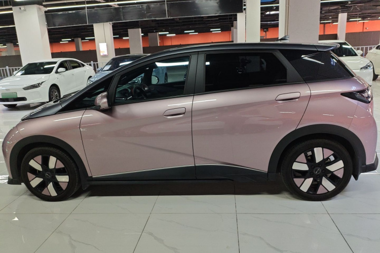 比亚迪 海豚 2021款 401km 骑士版车身外观6003