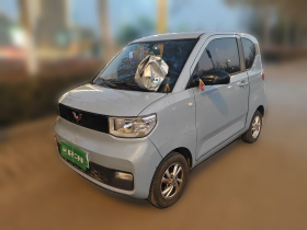 五菱汽车 宏光MINIEV 2020款 自在款 三元锂