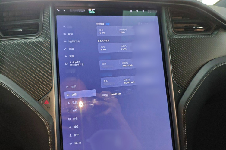 特斯拉 Model X 2019款 Performance 高性能版局部细节14