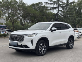 哈弗H6 2021款 第三代 1.5T 自动两驱Pro