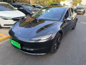 特斯拉 Model 3 2023款 后轮驱动版