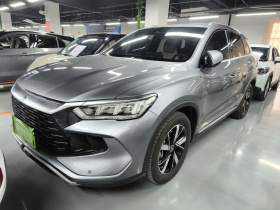 比亚迪 宋Pro新能源 2023款 冠军版 DM-i 110KM超越型