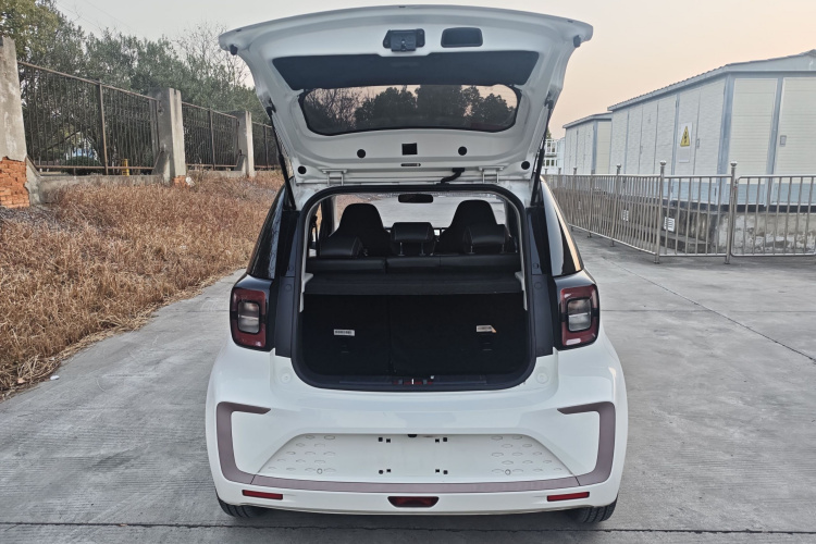 思皓 2022款 花仙子款 满天星局部细节23