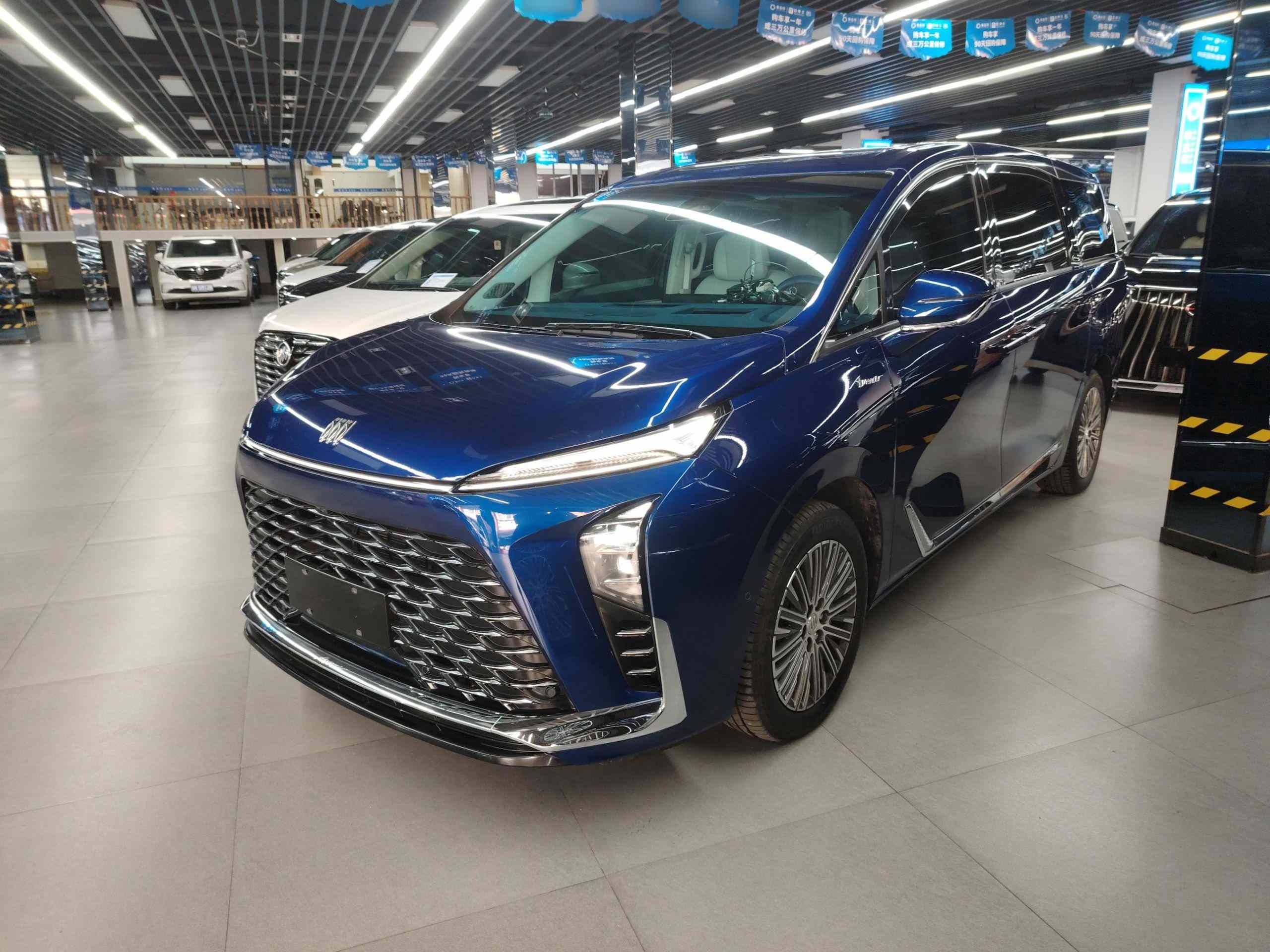 别克GL8新能源 2024款  陆尊 奢享版 7座(2)