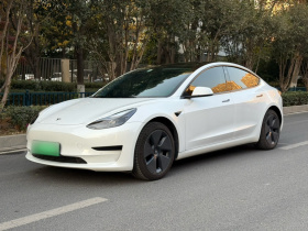 特斯拉 Model 3 2021款 改款 标准续航后驱升级版 3D1