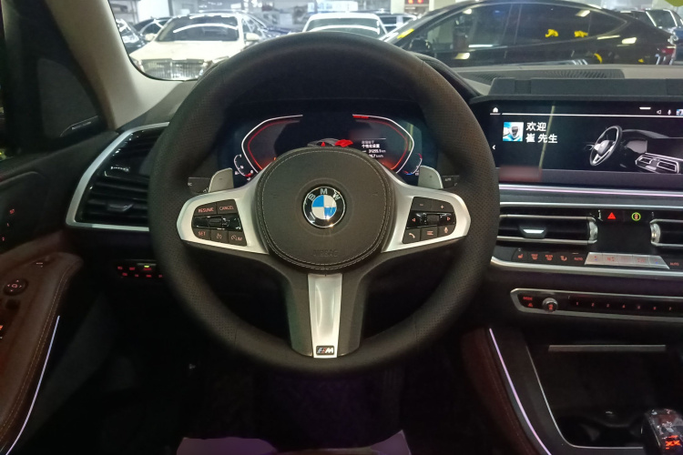 宝马X5(进口) 2020款 xDrive40i M运动套装局部细节13