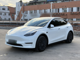 特斯拉 Model Y 2021款 标准续航后驱版