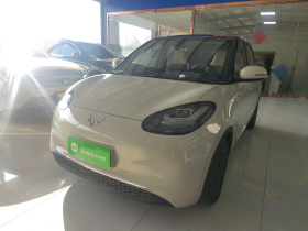 五菱汽车 五菱缤果 2023款 203km 舒享款