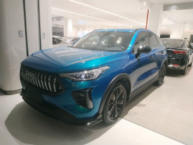 哈弗赤兔 2021款 激擎版 1.5T 黄金兔