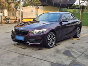 宝马2系(进口) 2019款 225i 运动设计套装